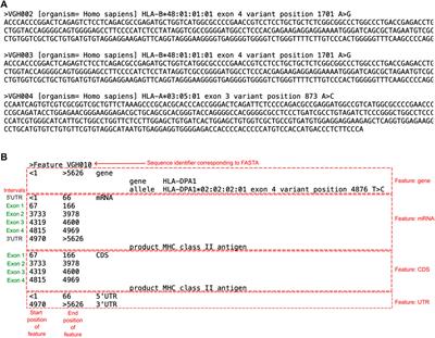 Novel alleles in the era of next-generation sequencing-based HLA typing calls for standardization and policy